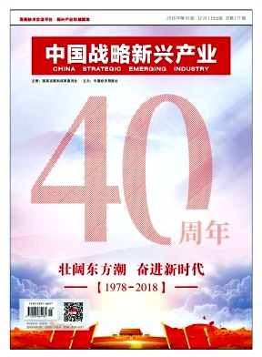 中國(guó)戰(zhàn)略新興產(chǎn)業(yè)